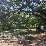 Hébergement de vacances L'instant Présent Chez Lû *